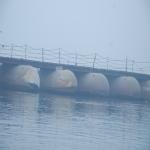 Vraj-Yatra-2014- (1313)